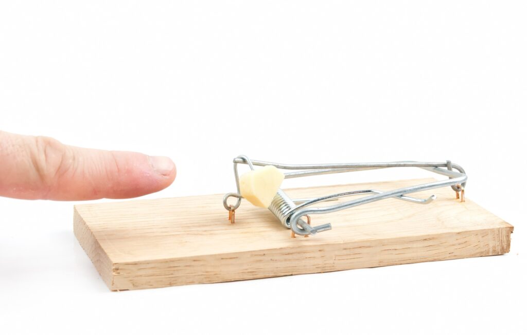 mouse trap